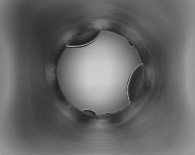 X0000114220356200910161312