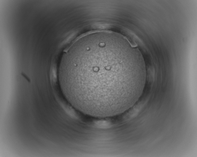 X0000114220358200910161312