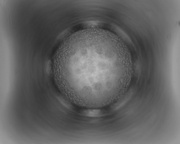 X0000114220361200910161312