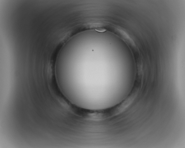 X0000114220362200910161312