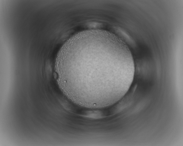 X0000114220363200910161312