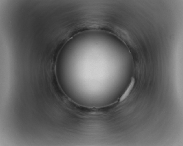 X0000114220364200910161312