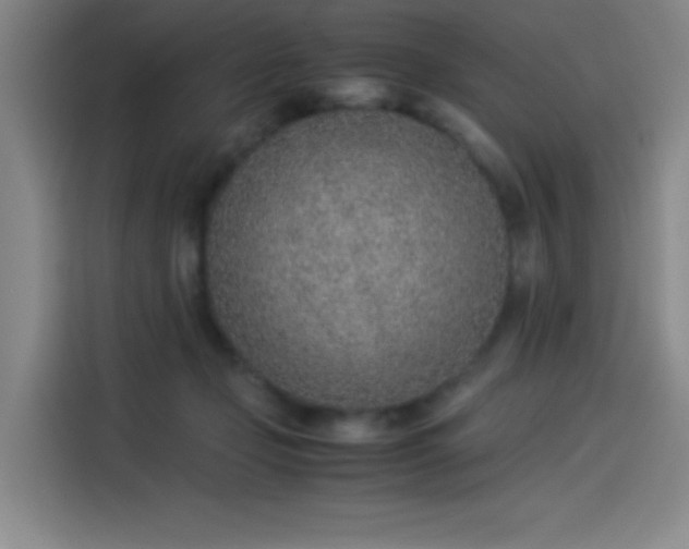 X0000114220365200910161312