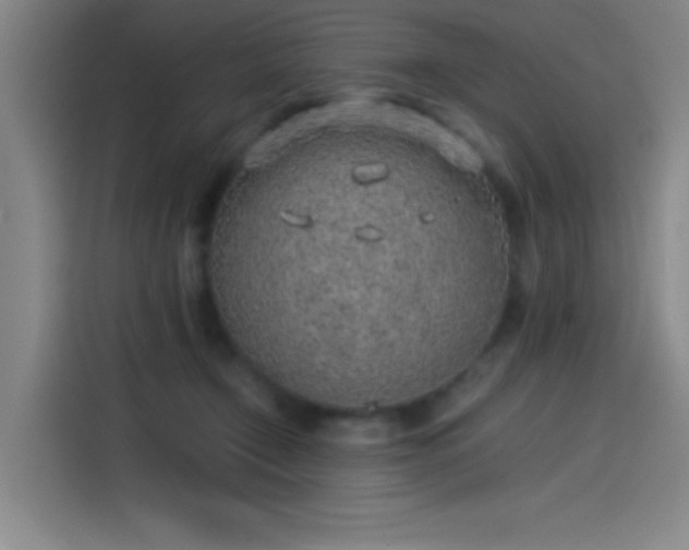 X0000114220366200910161312