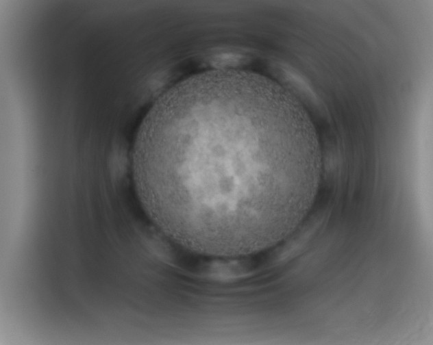 X0000114220367200910161312