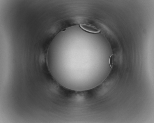 X0000114220368200910161312