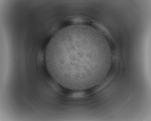 X0000114220369200910161312