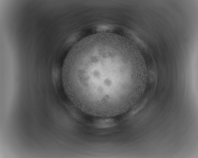 X0000114220375200910161312