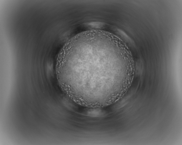 X0000114220377200910161312