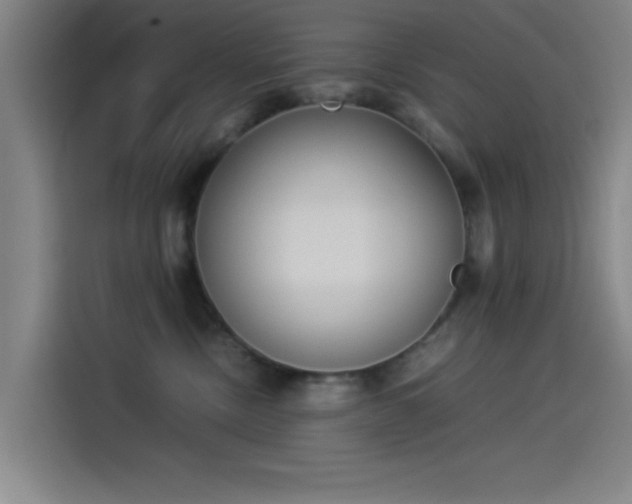 X0000114220378200910161312