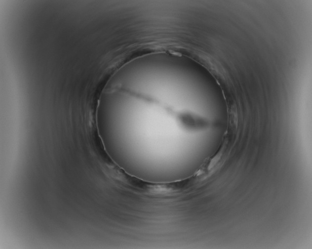 X0000114220380200910161312