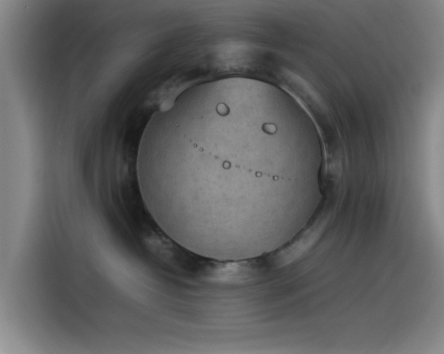 X0000114220382200910161312