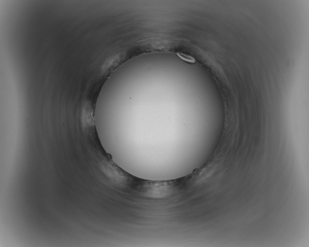 X0000114220384200910161312