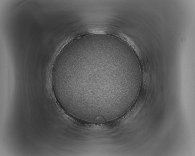 X0000114220385200910161312