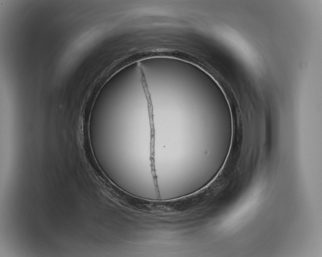 X0000114220387200910161312