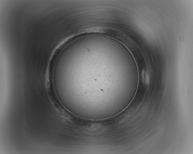 X0000114220388200910161312