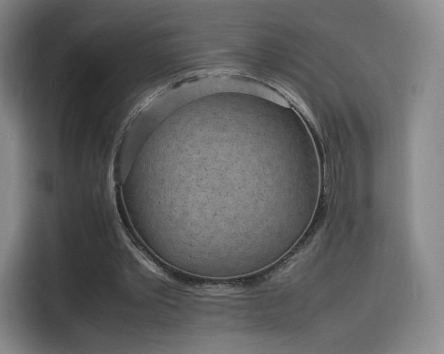 X0000114220389200910161312