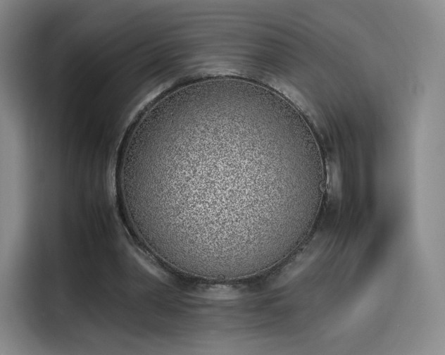 X0000114220390200910161312