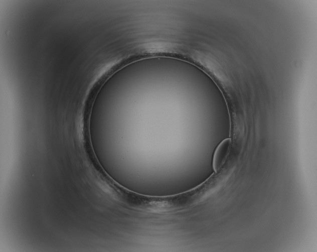 X0000114220391200910161312