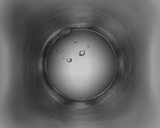 X0000114220392200910161312