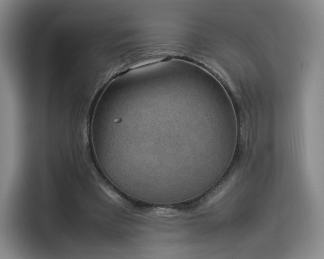 X0000114220393200910161312