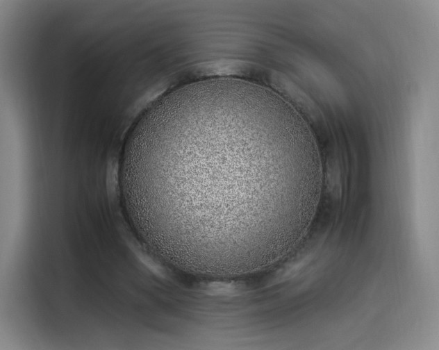 X0000114220394200910161312