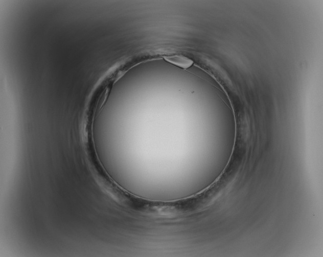 X0000114220395200910161312