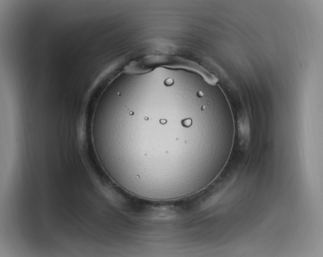 X0000114220396200910161312