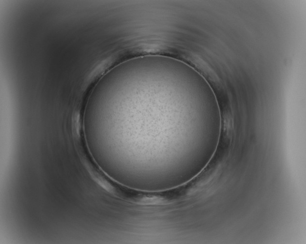 X0000114220397200910161312