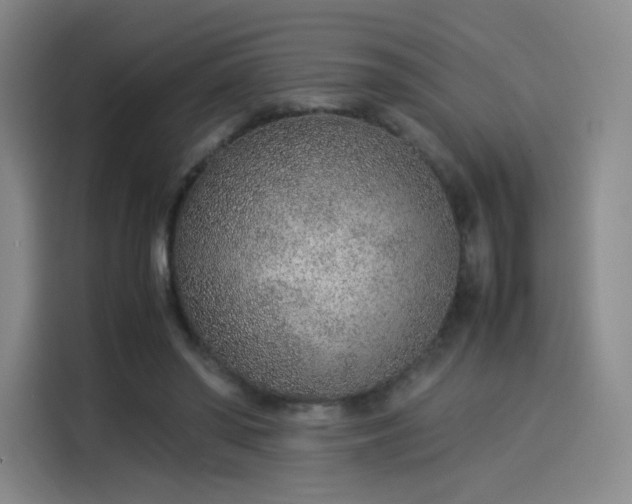 X0000114220398200910161312