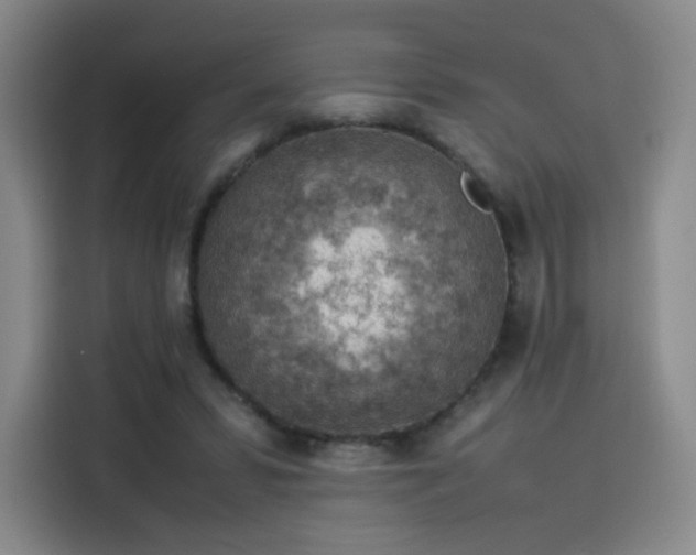 X0000114220399200910161311