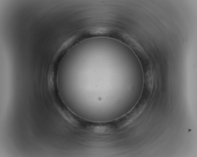 X0000114220400200910161311