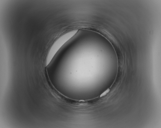 X0000114220401200910161311