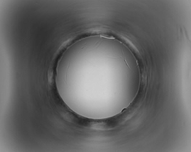 X0000114220403200910161311