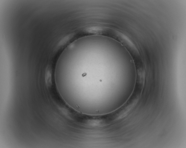 X0000114220404200910161311
