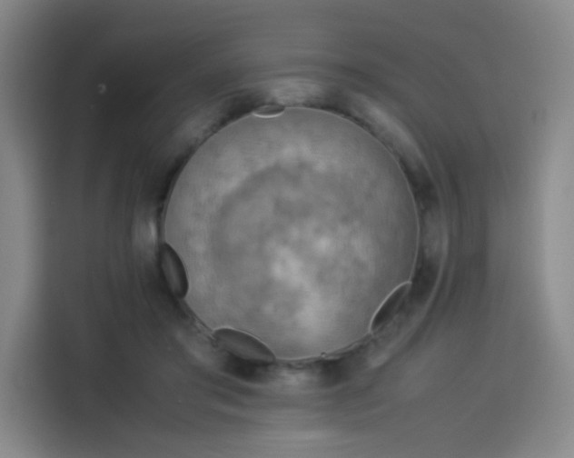 X0000114220405200910161311