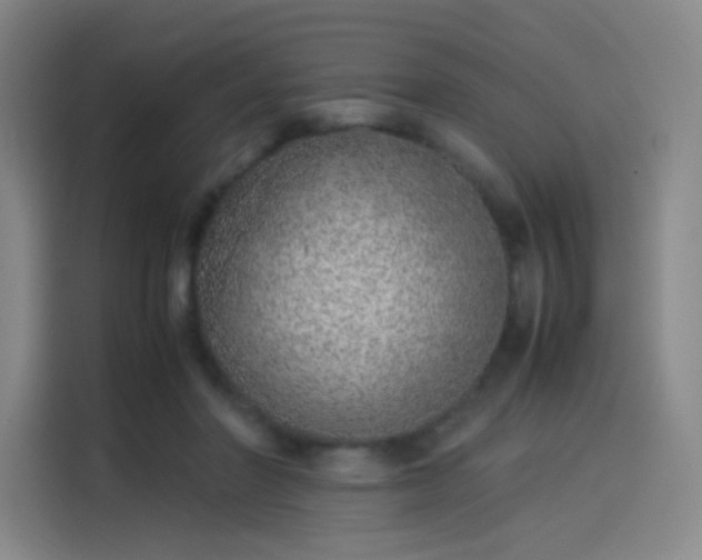 X0000114220406200910161311