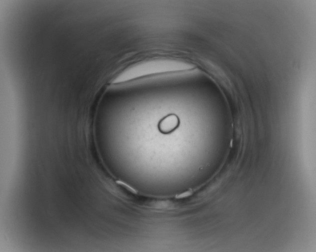 X0000114220409200910161311