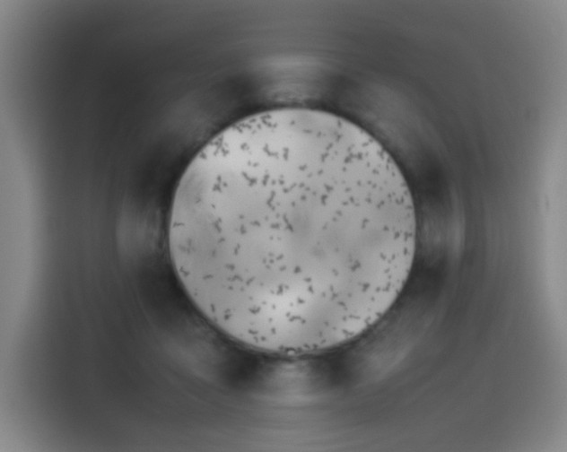 X0000114220411200910161311