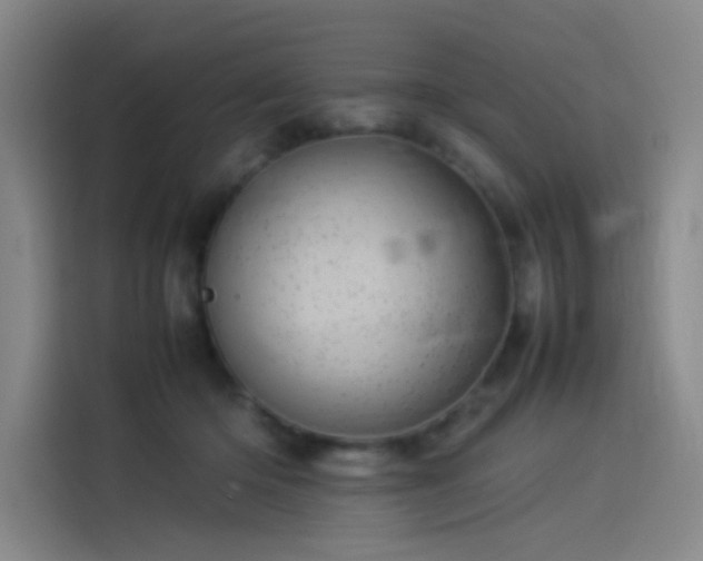 X0000114220414200910161311