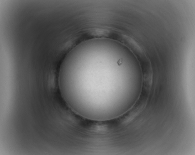 X0000114220416200910161311