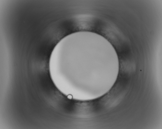 X0000114220419200910161311