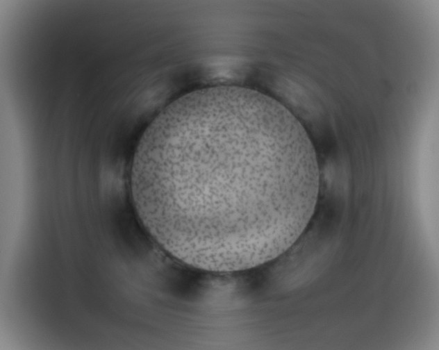 X0000114220423200910161311