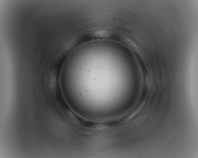 X0000114220424200910161311