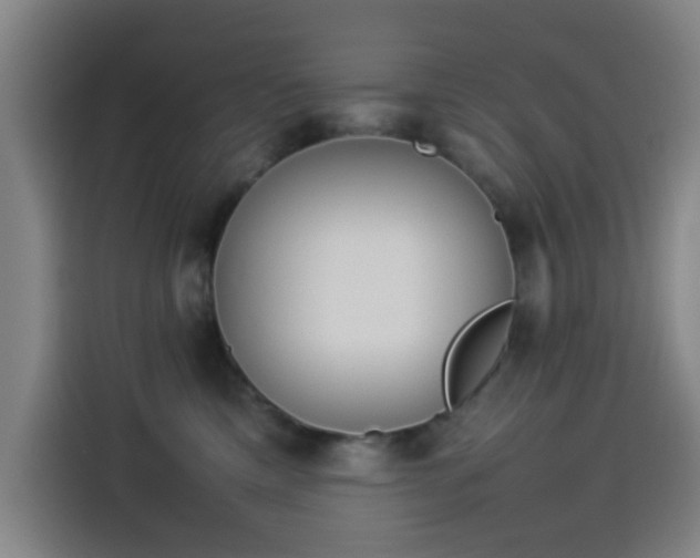 X0000114220425200910161311