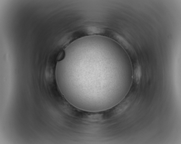 X0000114220426200910161311