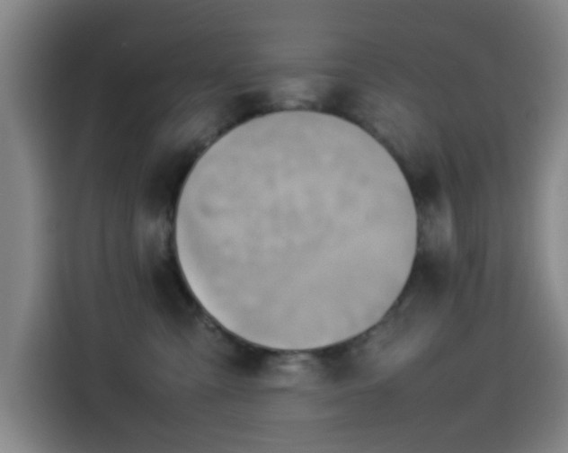 X0000114220427200910161311