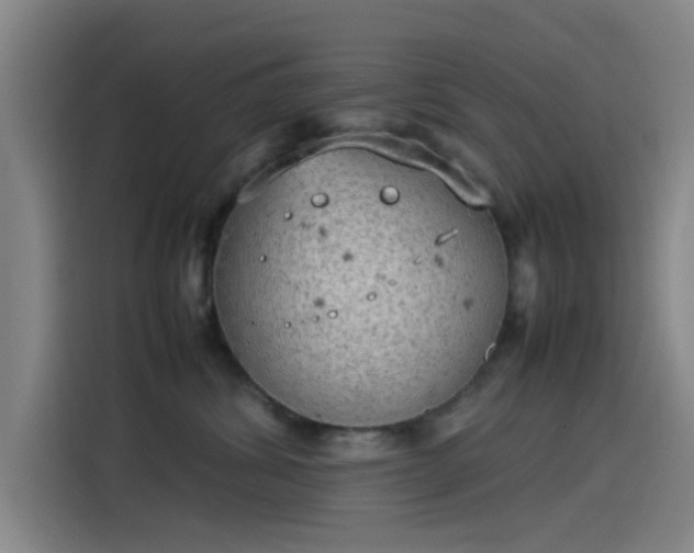 X0000114220428200910161311