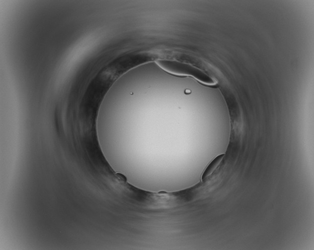 X0000114220429200910161311