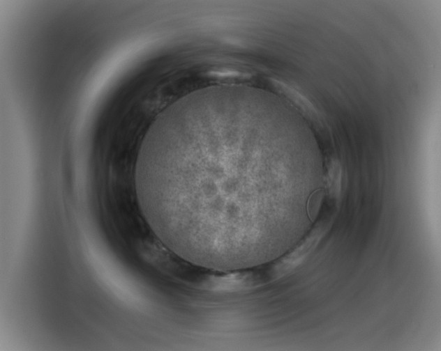 X0000114220430200910161311